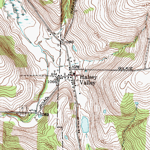 Topographic Map of Halsey Valley, NY