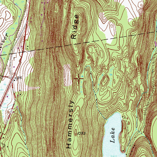 Topographic Map of Hammersly Ridge, NY