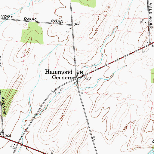 Topographic Map of Hammond Corners, NY