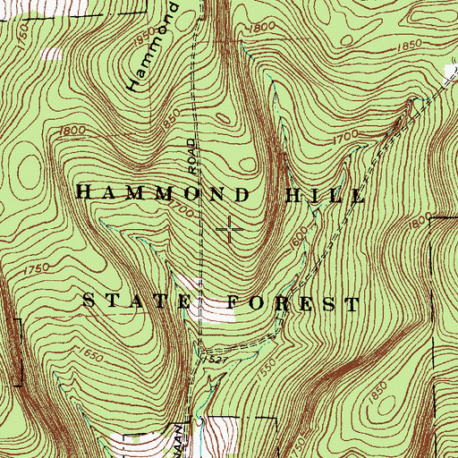 Topographic Map of Hammond Hill State Forest, NY