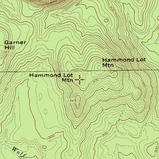 Topographic Map of Hammond Lot Mountain, NY