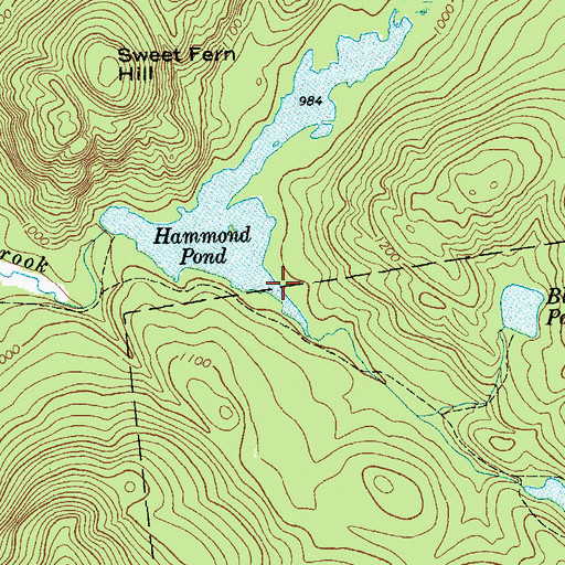 Topographic Map of Hammond Pond, NY