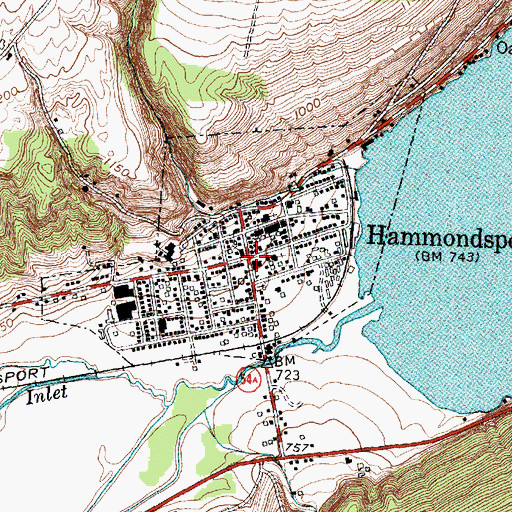 Topographic Map of Hammondsport, NY