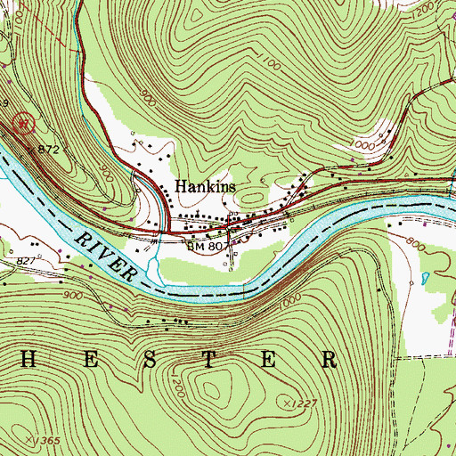 Topographic Map of Hankins, NY