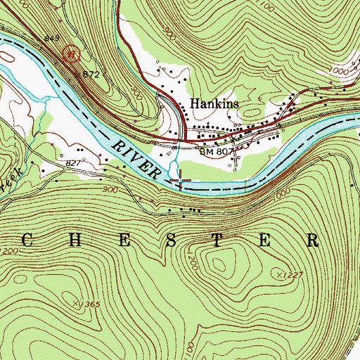 Topographic Map of Hankins Creek, NY