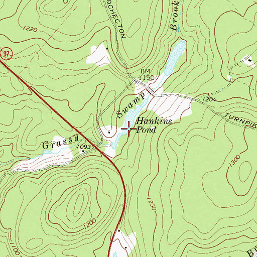 Topographic Map of Hankins Pond, NY