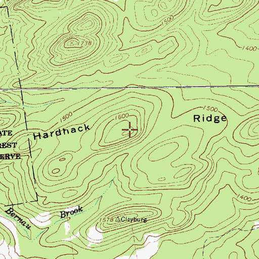 Topographic Map of Hardhack Ridge, NY