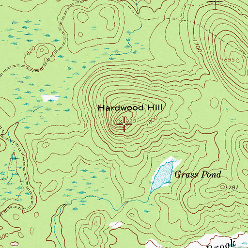 Topographic Map of Hardwood Hill, NY