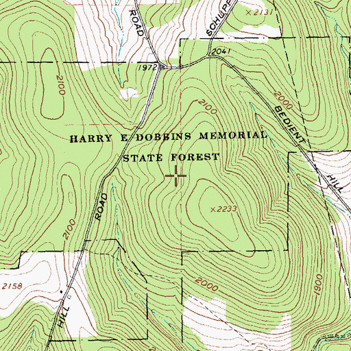 Topographic Map of Harry E Dobbins Memorial State Forest, NY