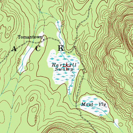 Topographic Map of Hartwell Swamp, NY
