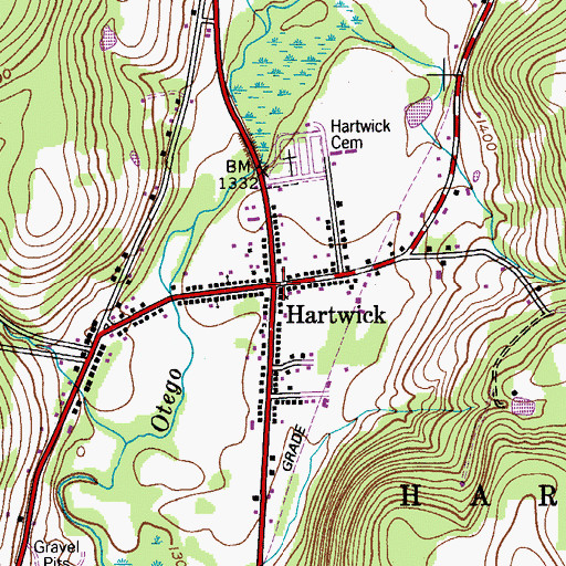 Topographic Map of Hartwick, NY