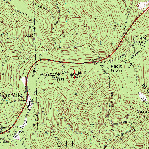Topographic Map of Hartzfelt Mountain, NY