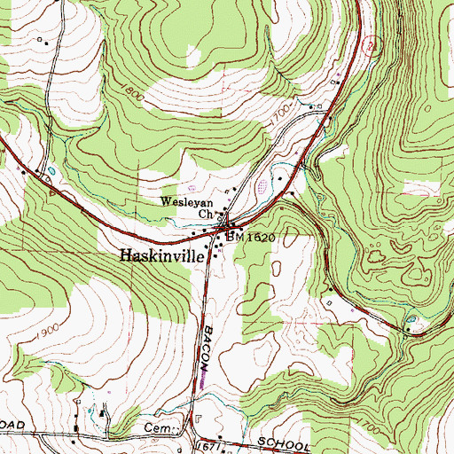 Topographic Map of Haskinville, NY