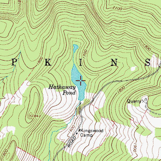 Topographic Map of Hathaway Pond, NY