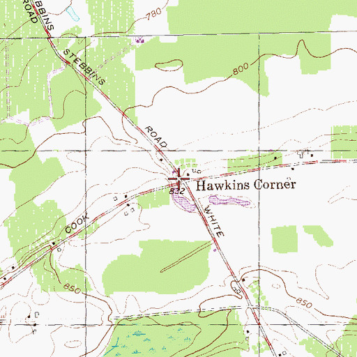Topographic Map of Hawkins Corner, NY