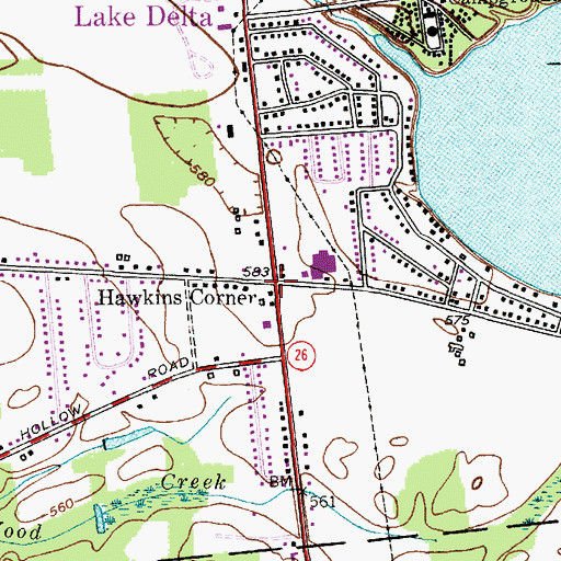 Topographic Map of Hawkins Corner, NY