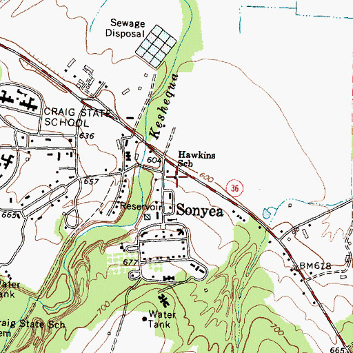 Topographic Map of Hawkins School, NY