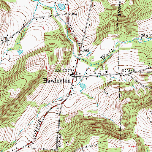 Topographic Map of Hawleyton, NY