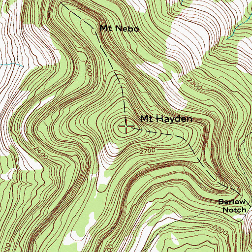 Topographic Map of Mount Hayden, NY