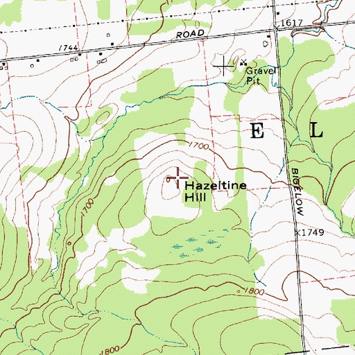 Topographic Map of Hazeltine Hill, NY