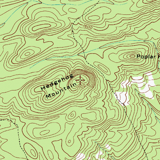 Topographic Map of Hedgehog Mountain, NY