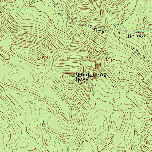 Topographic Map of Hedgehog Mountain, NY
