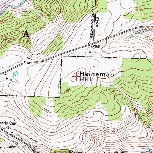 Topographic Map of Heineman Hill, NY