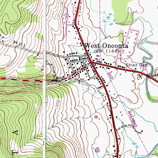 Topographic Map of Hell Hollow, NY