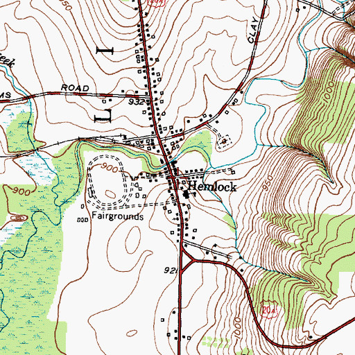 Topographic Map of Hemlock, NY
