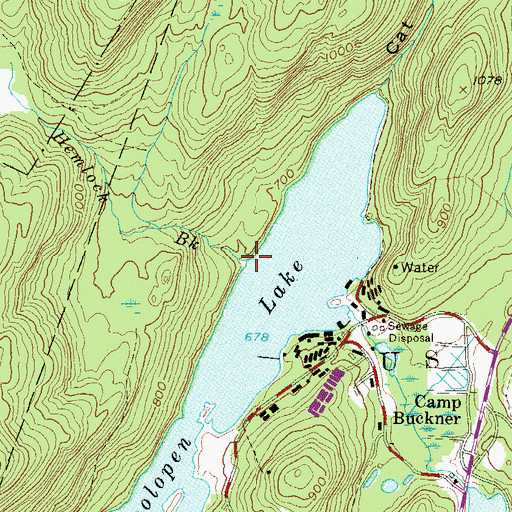 Topographic Map of Hemlock Brook, NY