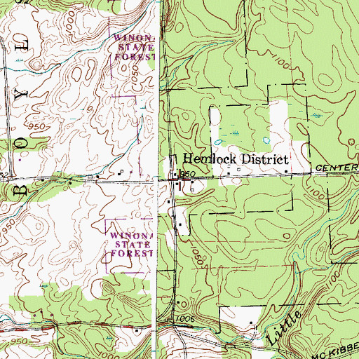 Topographic Map of Hemlock District, NY