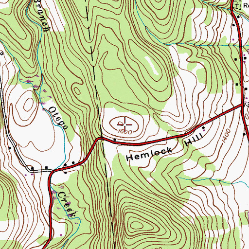 Topographic Map of Hemlock Hill, NY