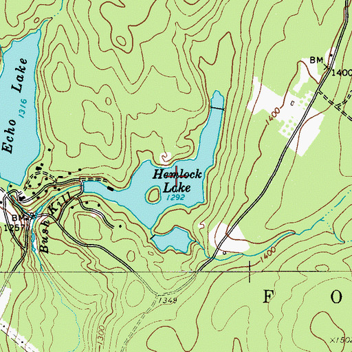 Topographic Map of Hemlock Lake, NY