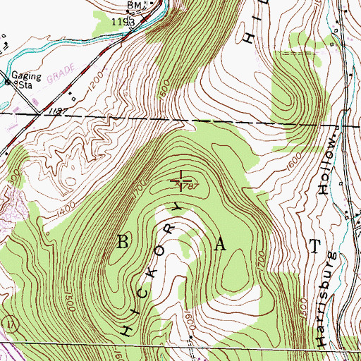 Topographic Map of Hickory Hill, NY