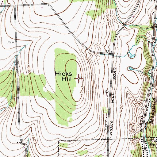 Topographic Map of Hicks Hill, NY