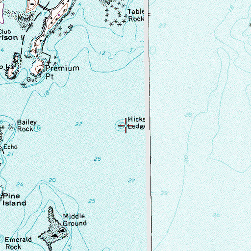 Topographic Map of Hicks Ledge, NY