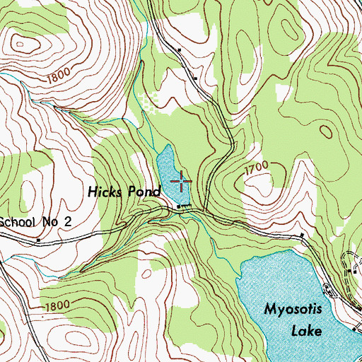 Topographic Map of Hicks Pond, NY