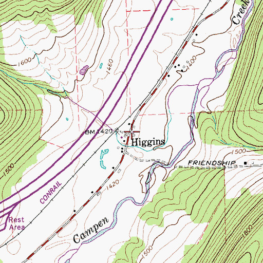Topographic Map of Higgins, NY