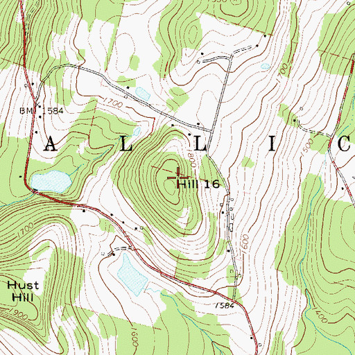 Topographic Map of Hill 16, NY