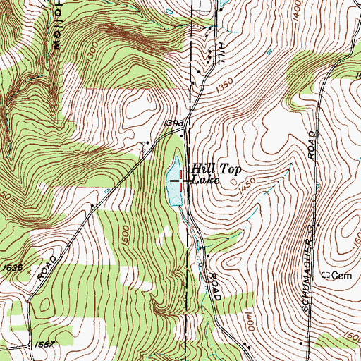 Topographic Map of Hill Top Lake, NY