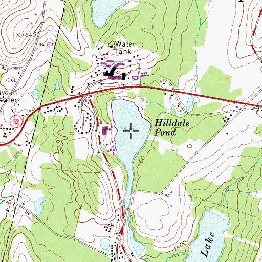 Topographic Map of Hilldale Pond, NY