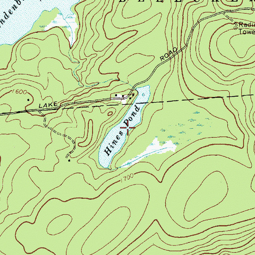 Topographic Map of Hines Pond, NY