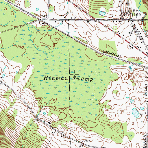 Topographic Map of Hinman Swamp, NY