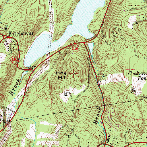 Topographic Map of Hog Hill, NY