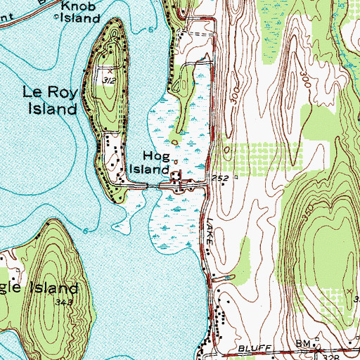 Topographic Map of Hog Island, NY