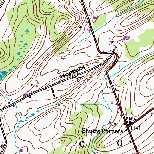 Topographic Map of Hogback, NY