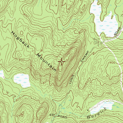Topographic Map of Hogback Mountain, NY