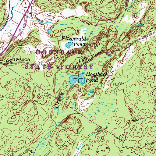 Topographic Map of Hogsback Pond, NY