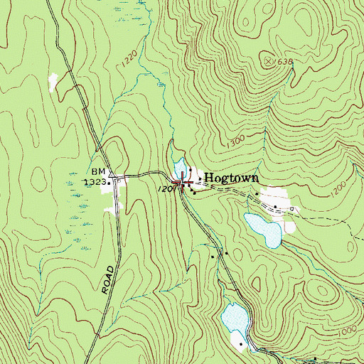 Topographic Map of Hogtown, NY