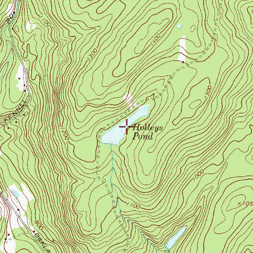 Topographic Map of Holleys Pond, NY